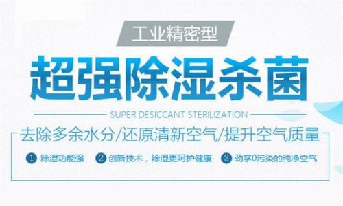 除濕器對檔案館的重要性