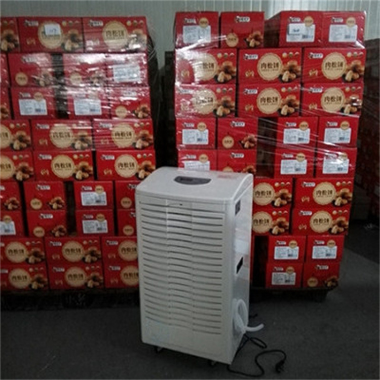 專業服裝箱包倉庫專用高效除濕機吸濕機